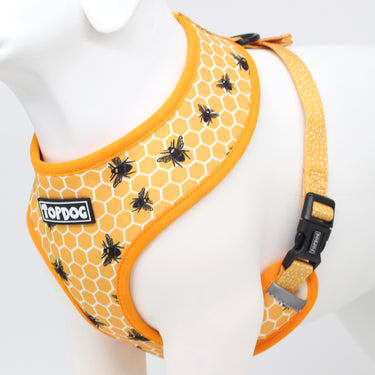 TopDog Bee Kind Reversible dog harness, bees on orange and white beehive pattern background