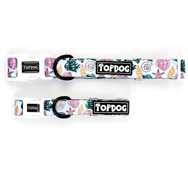 Shore Thing – Dog collar