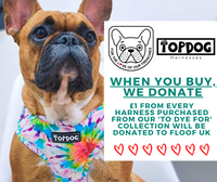 Thumbnail for French Bulldog wearing TopDog Harnesses To Dye for Adjustable dog harness with donation message