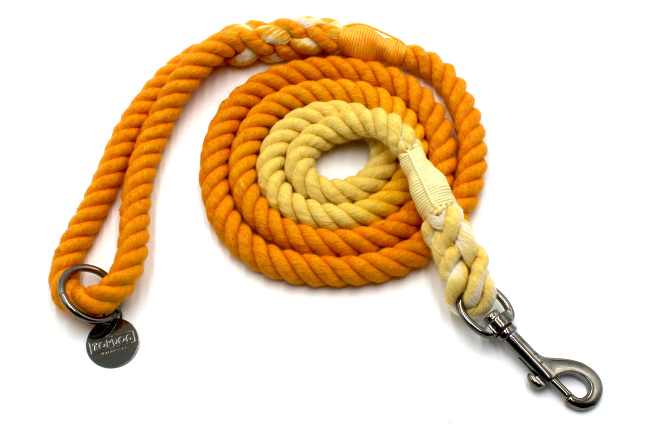 Rope Leads