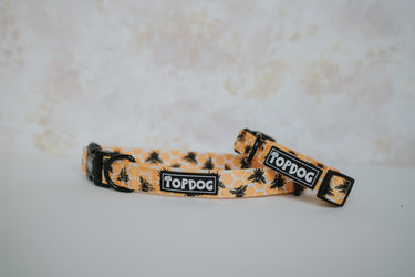 Bee Kind – Dog collar