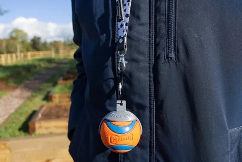 Dog Ball Holder