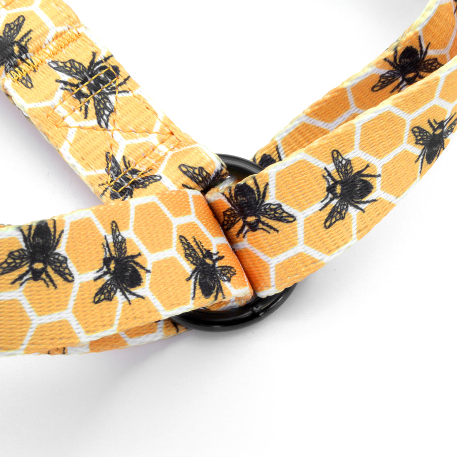 Bee Kind – Topdog Strap dog harness, close-up of the connector ring