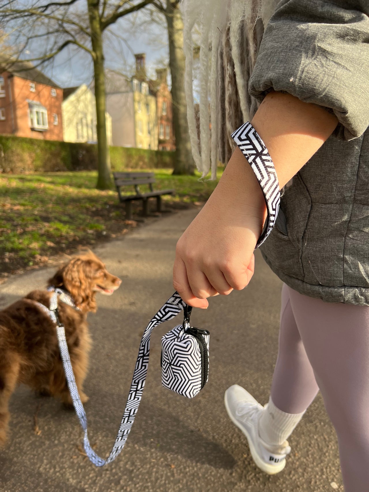 A stylish dog and owner strutting their stuff in the park with a TopDog just an illusion matching collar harness and walking bag set