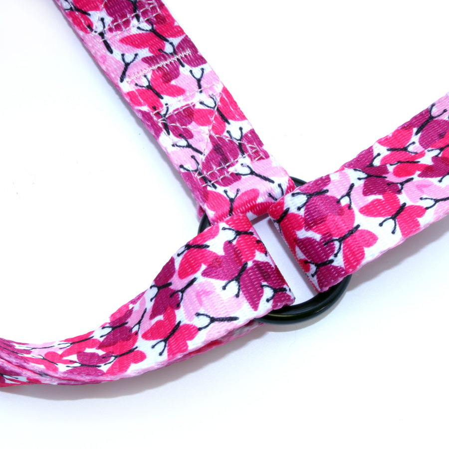 TopDog Love Bug Adjustable Strap Dog Harness, close-up of the attachment ring