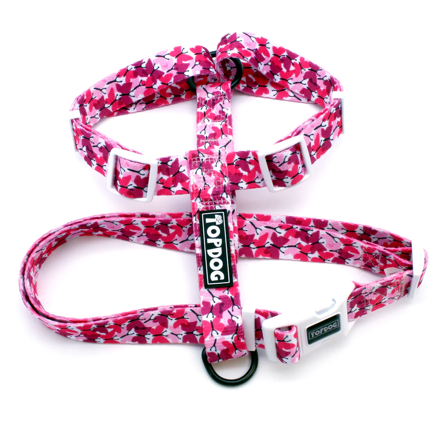 Topdog Love bug adjustable strap dog harness