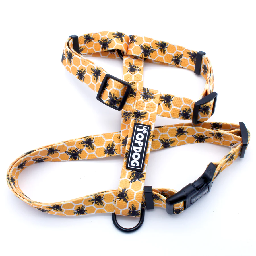 Bee Kind – TopDog Strap dog harness