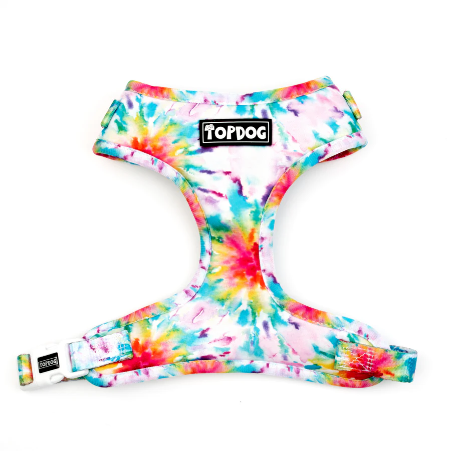 Topdog to dye for adjustable harness