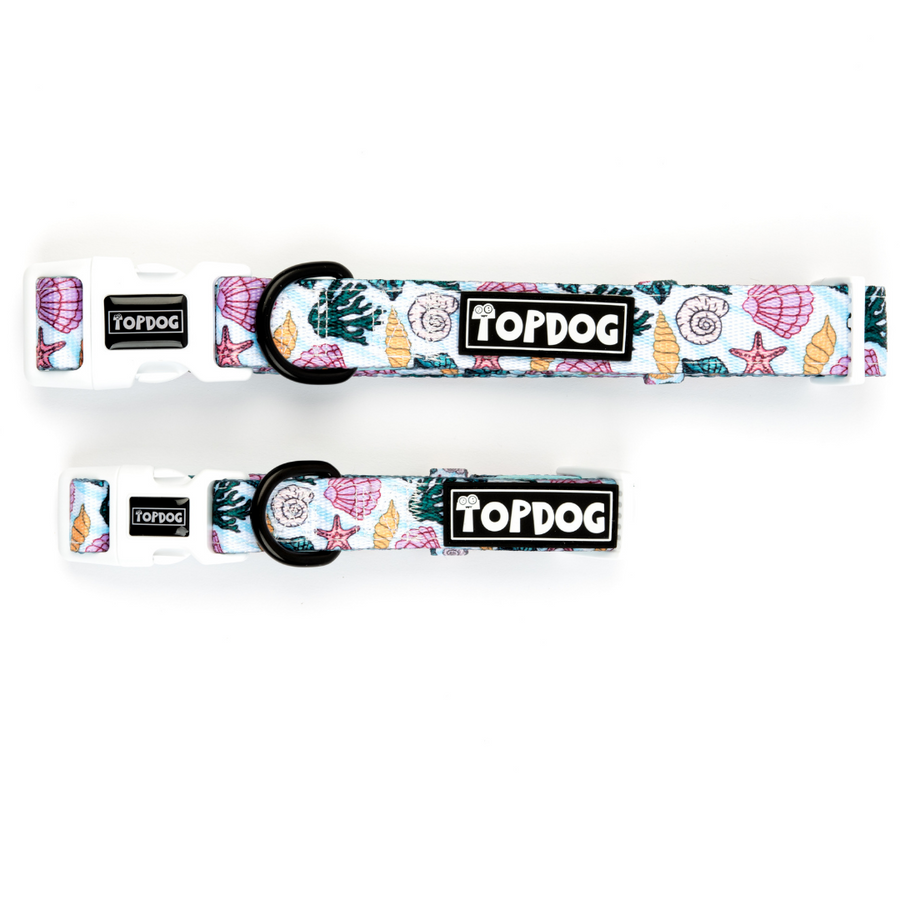 Shore Thing – Dog collar