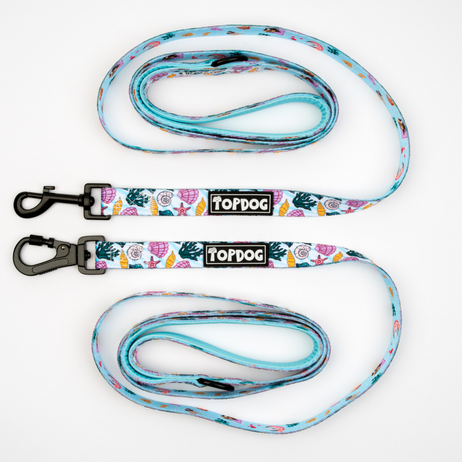 Shore Thing – Matching lead