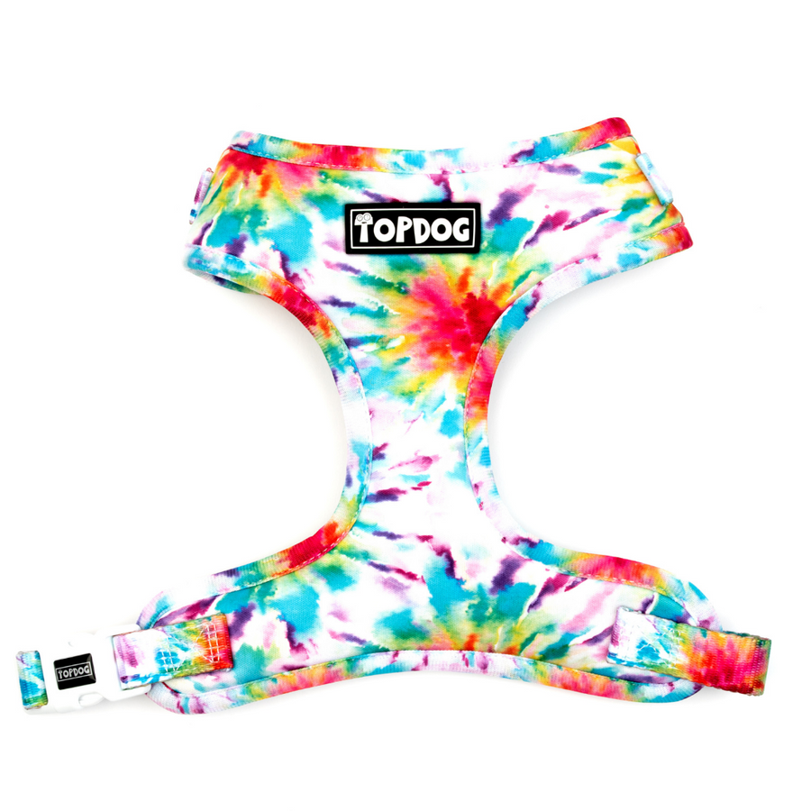 Topdog to dye for adjustable harness