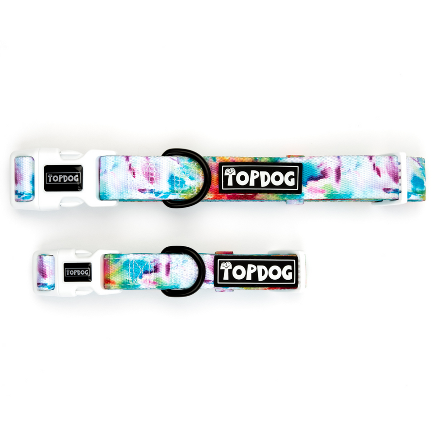 To Dye For – Dog collar