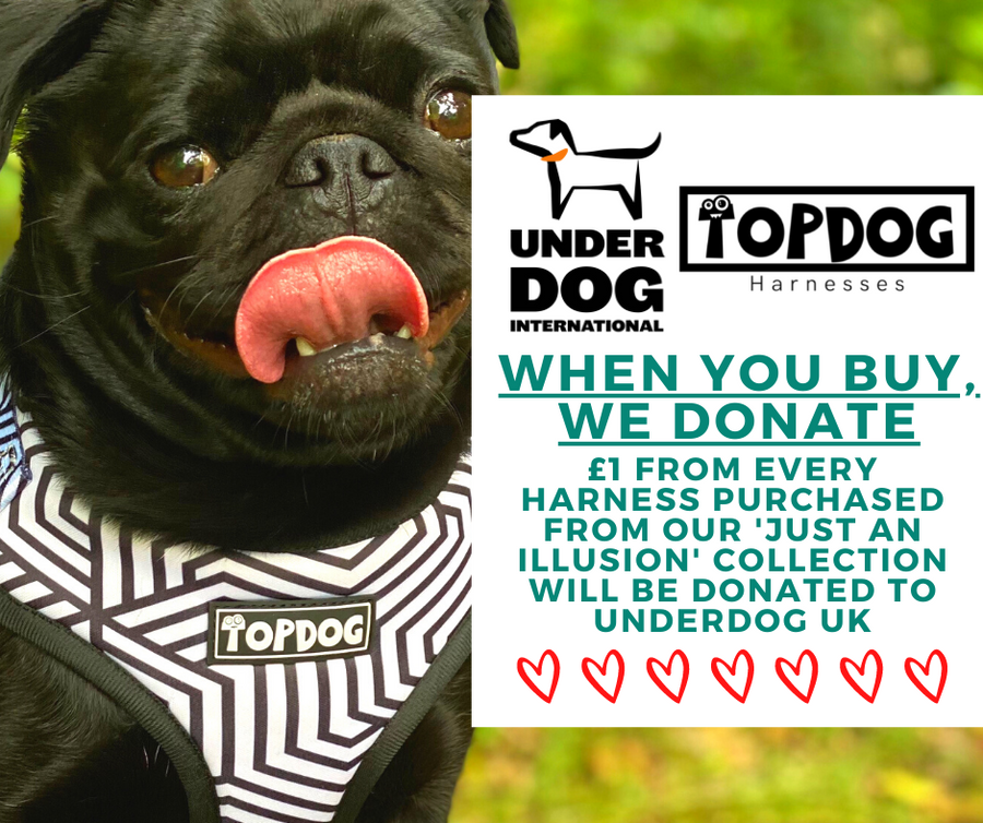 When you buy, we donate. £1 from every harness purchased from our 'Just An Illusion' collection will be donated to Underdog UK.