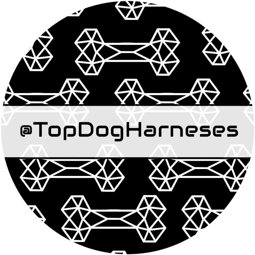 Geometic Bone - ID Tag - TopDog Harnesses
