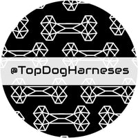 Thumbnail for Geometic Bone - ID Tag - TopDog Harnesses