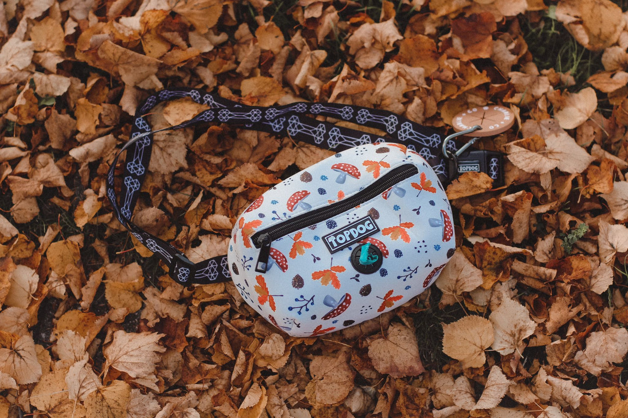 TopDog Harnesses Matching Essential Dog Walking bag on an autumn leaf covered ground