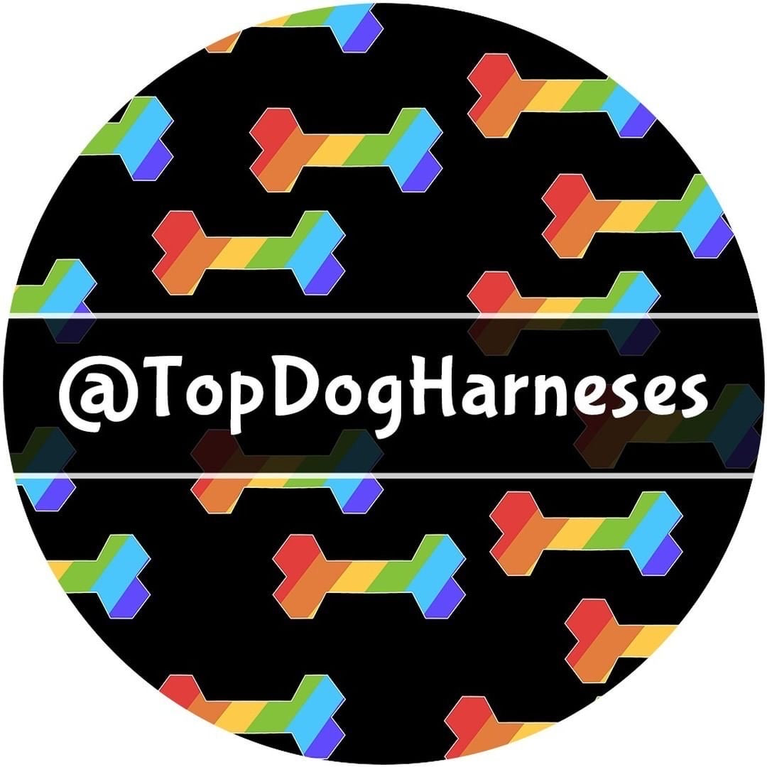 RainBone - ID Tag - TopDog Harnesses