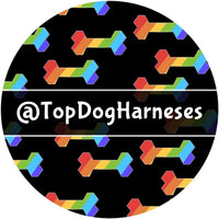Thumbnail for RainBone - ID Tag - TopDog Harnesses