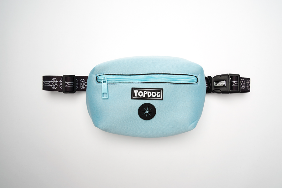 Everyday Essential – Dog walking bag