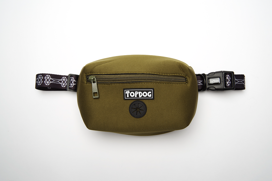 Everyday Essential – Dog walking bag