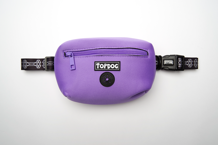 Everyday Essential – Dog walking bag