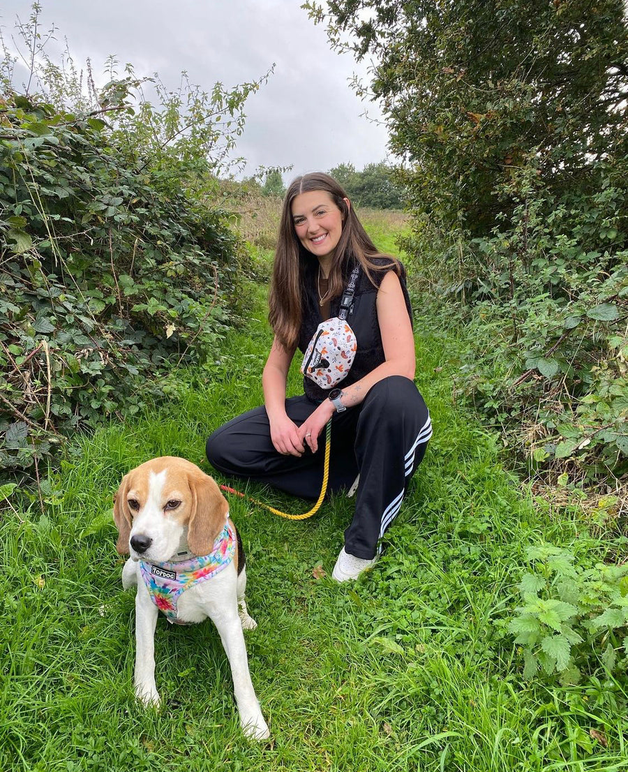 Beagle with young woman owner wearing topDog Harnesses Matching Essential Dog walking bag, sitting on grass on a country walk