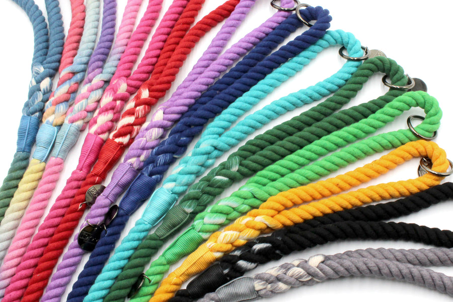 Multicoloured Topdog rope leads