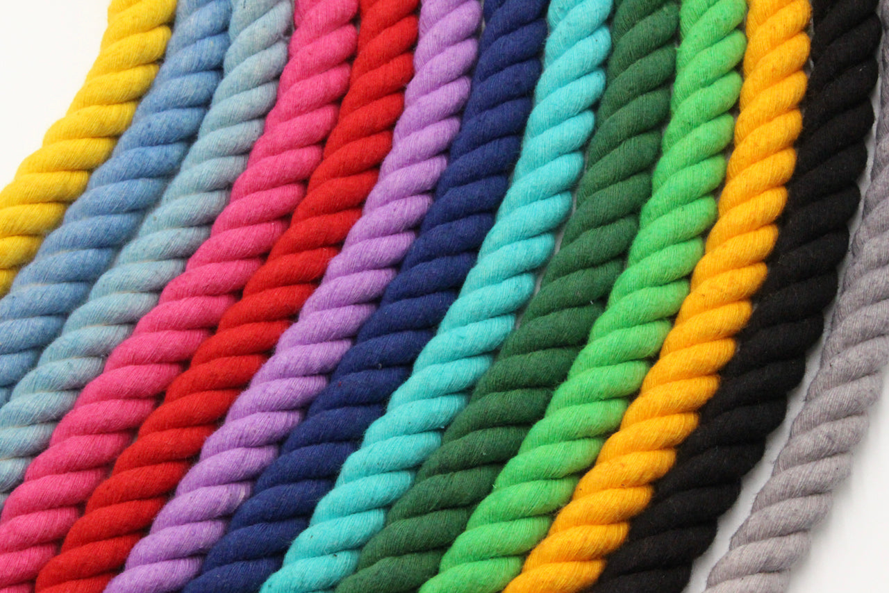 Multicoloured Topdog rope leads