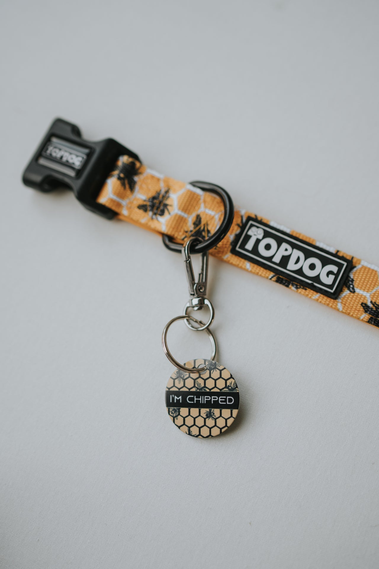 Bee Kind - ID Tag displayed on a TopDog Harnesses Collar