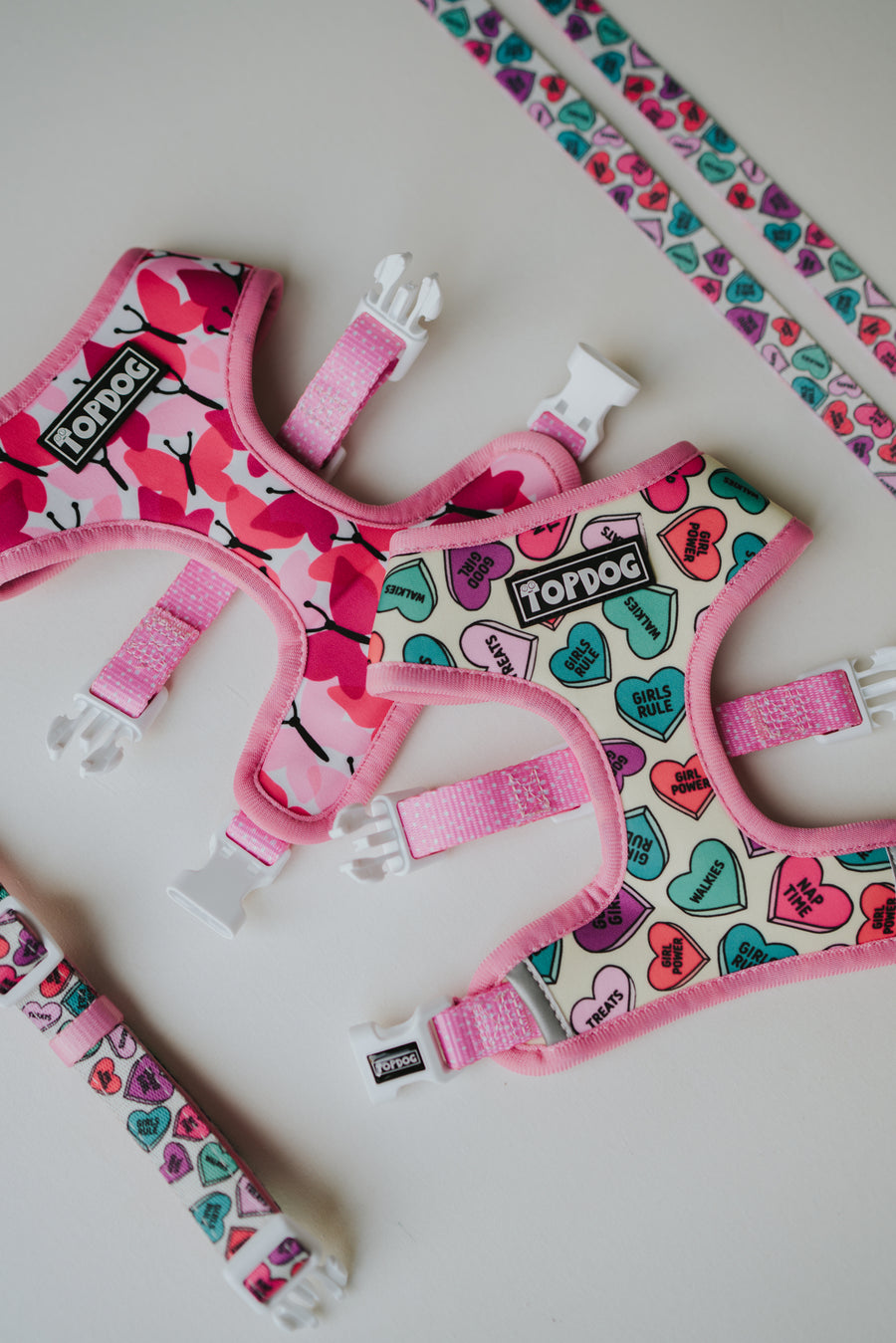 Love Bug – Reversible and adjustable dog harness