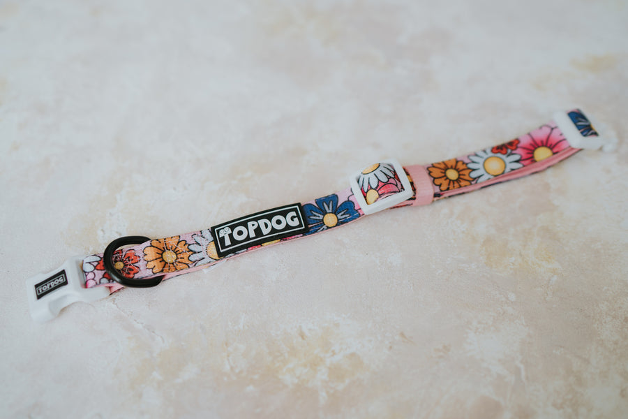 Dog Collar - PRETTY IN PINK - TopDog Harnesses
