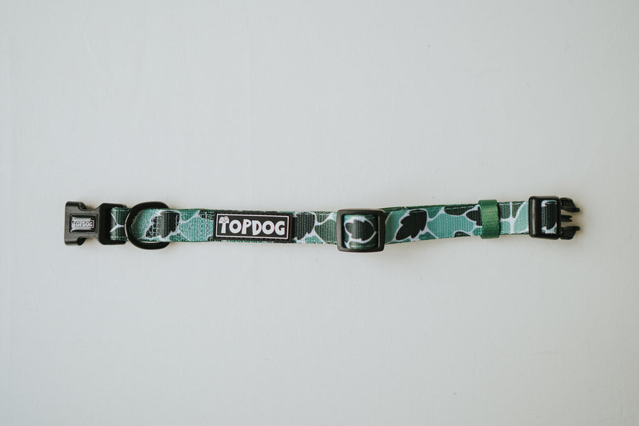 Dog Collar - BeLeaf in Yourself - TopDog Harnesses