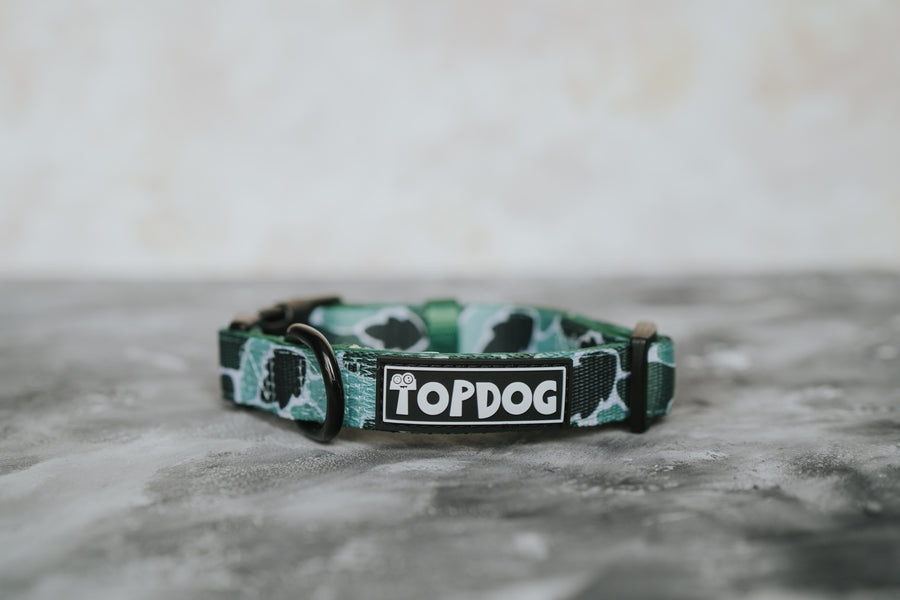 Dog Collar - BeLeaf in Yourself - TopDog Harnesses